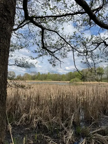 Prodej podílu pozemku, Stříbřec, 5449 m2