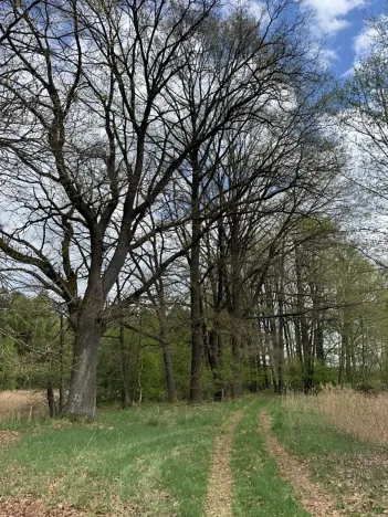 Prodej podílu pozemku, Stříbřec, 5449 m2