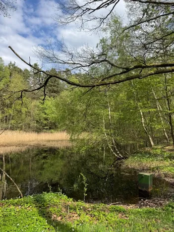 Prodej podílu pozemku, Stříbřec, 5449 m2