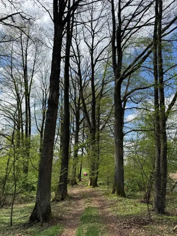 Prodej podílu pozemku, Stříbřec, 5449 m2