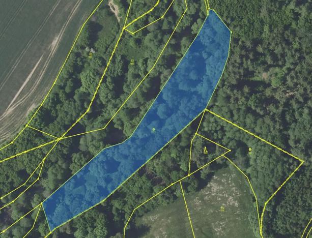 Prodej pozemku, Louňovice pod Blaníkem, 23891 m2