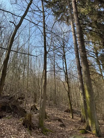 Prodej pozemku, Louňovice pod Blaníkem, 23891 m2