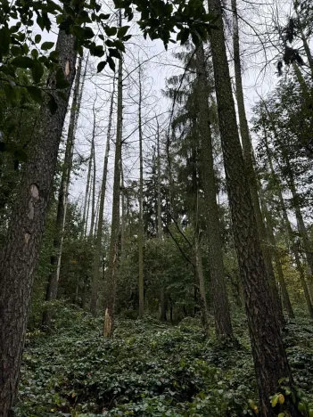 Prodej podílu pozemku, Plaňany, 23569 m2