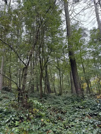 Prodej podílu pozemku, Plaňany, 23569 m2