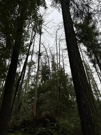 Prodej podílu pozemku, Plaňany, 23569 m2