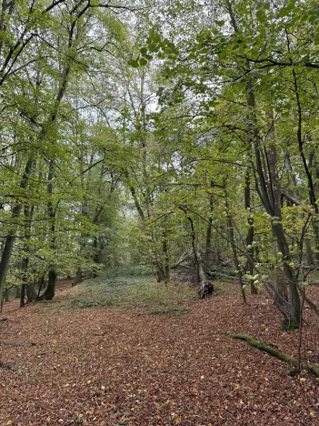 Prodej podílu pozemku, Plaňany, 23569 m2