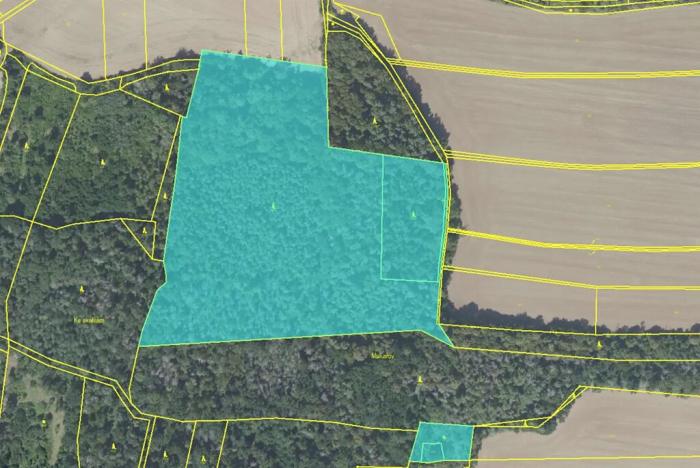 Prodej podílu pozemku, Plaňany, 23569 m2