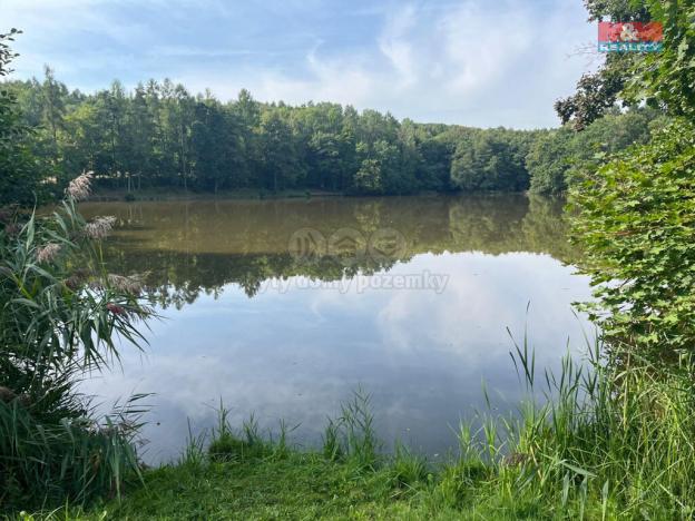 Prodej chaty, Bílichov, 21 m2