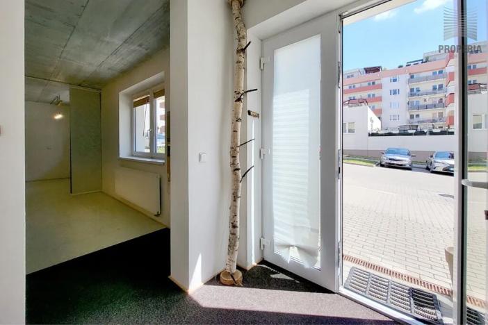 Prodej bytu 1+kk, Brno, Sentická, 68 m2