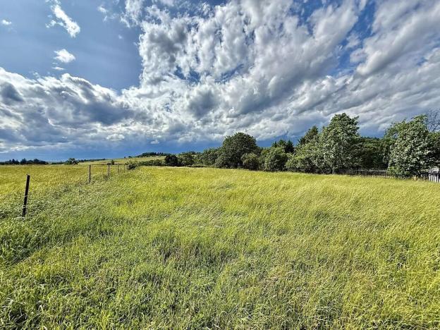 Prodej pozemku pro bydlení, Kácov, 9881 m2