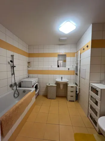 Prodej bytu 2+kk, Karlovy Vary, Spálená, 50 m2