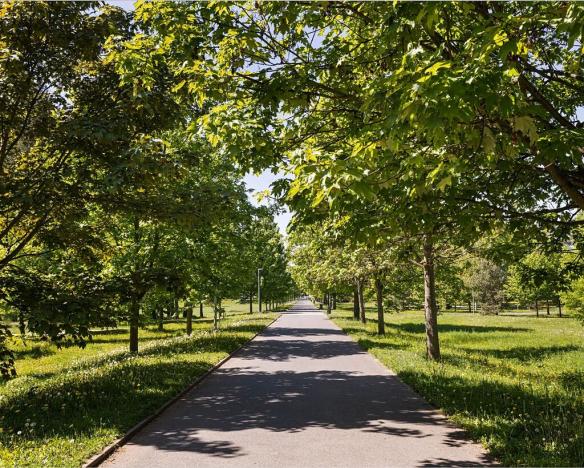 Prodej bytu 3+kk, Hradec Králové, Pospíšilova, 95 m2