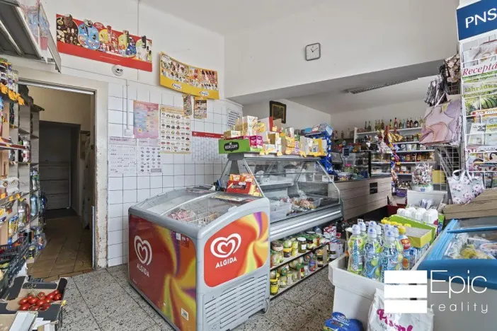 Prodej rodinného domu, Tišice, Okružní, 530 m2