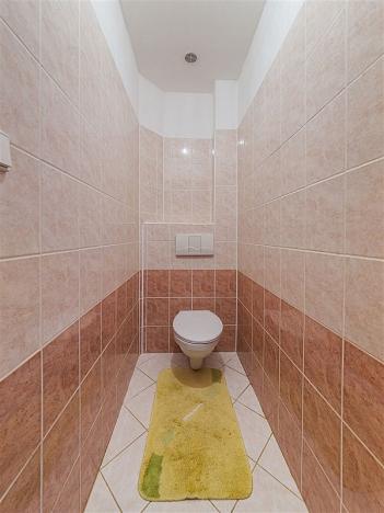 Pronájem rodinného domu, Hustopeče, U Vodojemu, 178 m2