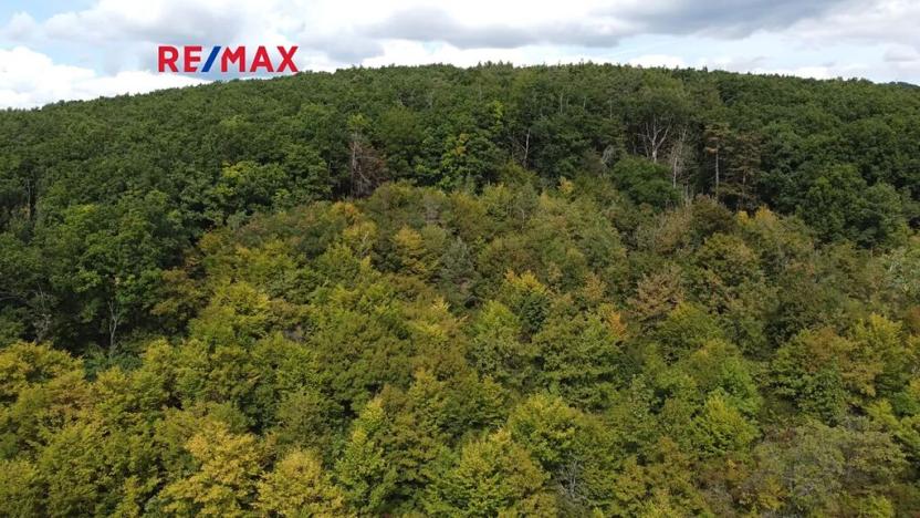 Prodej lesa, Lelekovice, 22668 m2