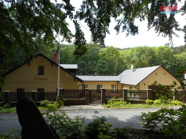 Prodej rodinného domu, Mariánské Lázně, Chopinova, 630 m2