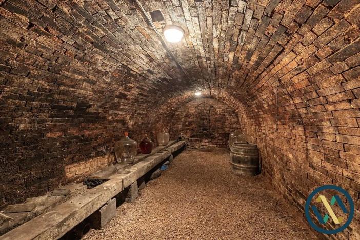 Prodej vinného sklepa, Strachotín, 192 m2