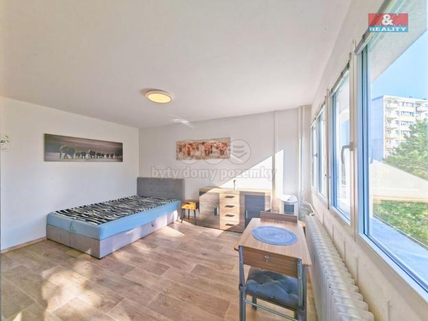 Prodej bytu 1+kk, Hradec Králové - Slezské Předměstí, Severní, 27 m2