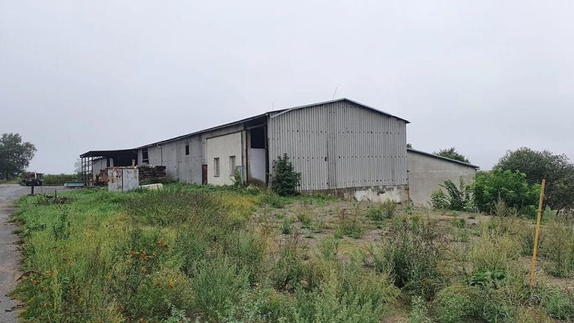 Dražba výrobních prostor, Nížkov, 7316 m2