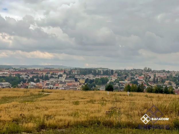 Prodej pozemku pro bydlení, Tachov, Rumplerova, 593 m2