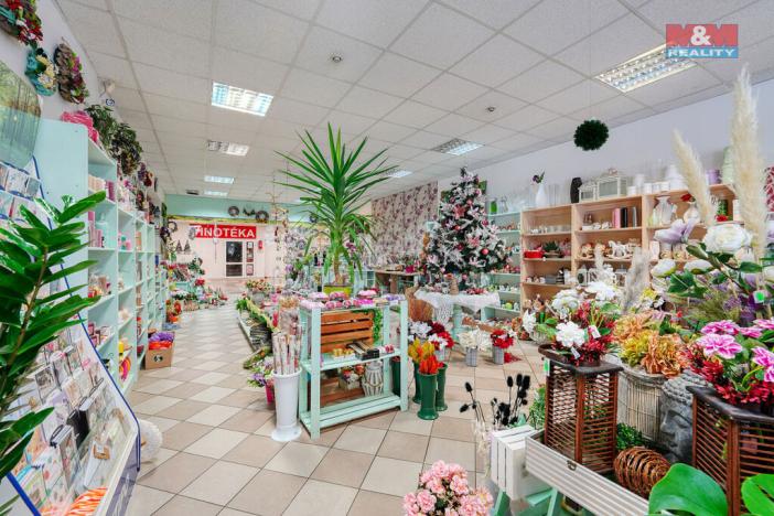 Pronájem obchodního prostoru, Třemošná, Plzeňská, 133 m2