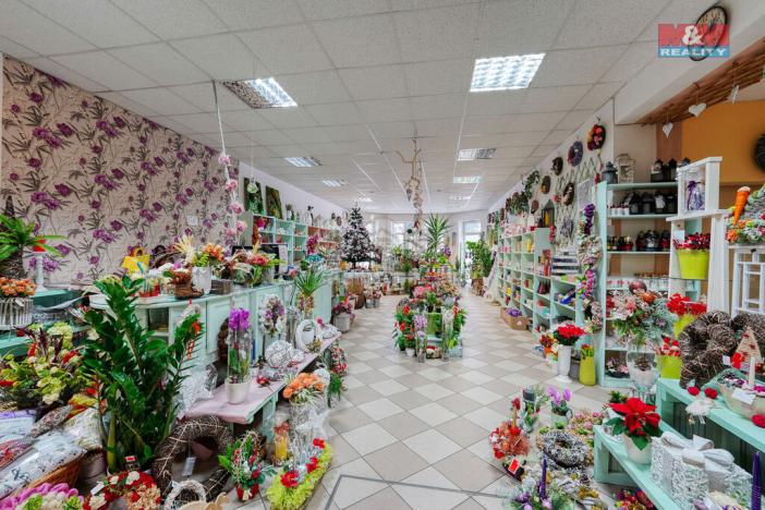 Pronájem obchodního prostoru, Třemošná, Plzeňská, 133 m2