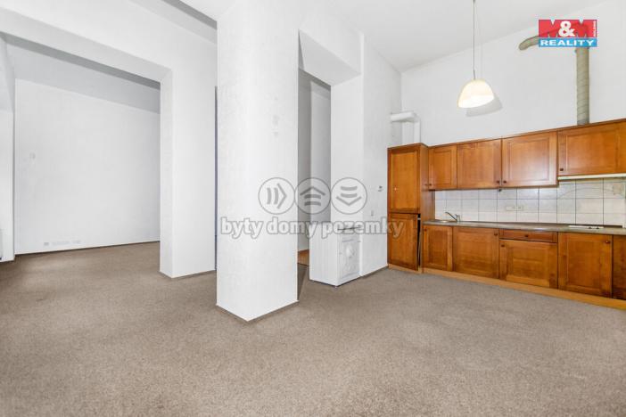 Prodej bytu 1+kk, Plzeň - Vnitřní Město, Veleslavínova, 59 m2