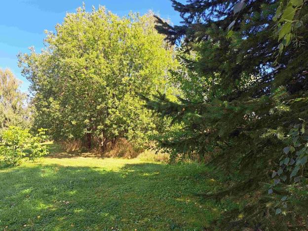 Prodej pozemku pro bydlení, Loučná nad Desnou, 1123 m2