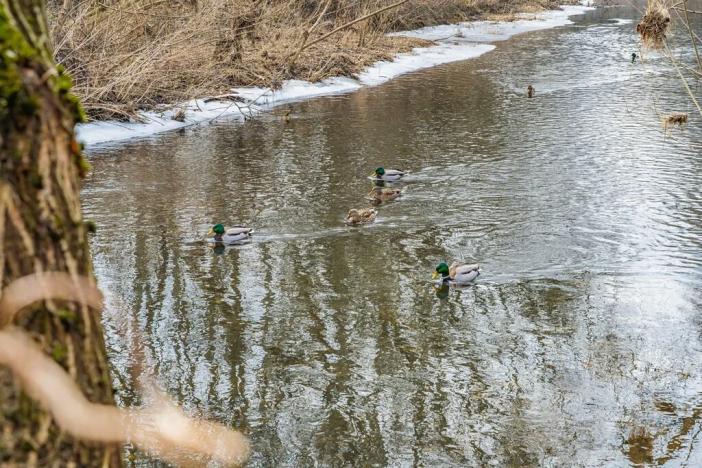 Prodej pozemku pro bydlení, Horní Bradlo, 535 m2