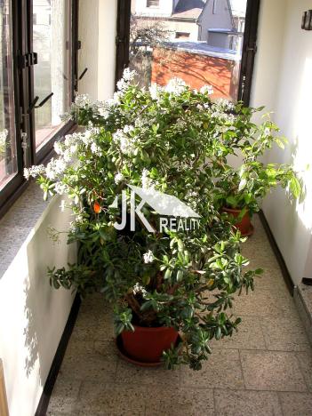 Prodej rodinného domu, Tršice, 244 m2