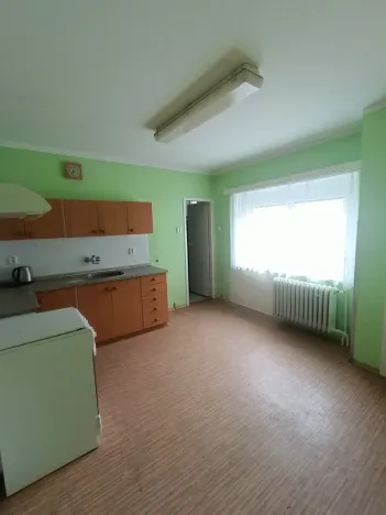 Prodej rodinného domu, Roudnice nad Labem, Žižkova, 120 m2