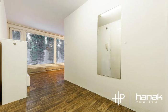 Prodej bytu 1+kk, Šternberk, Labutí, 31 m2