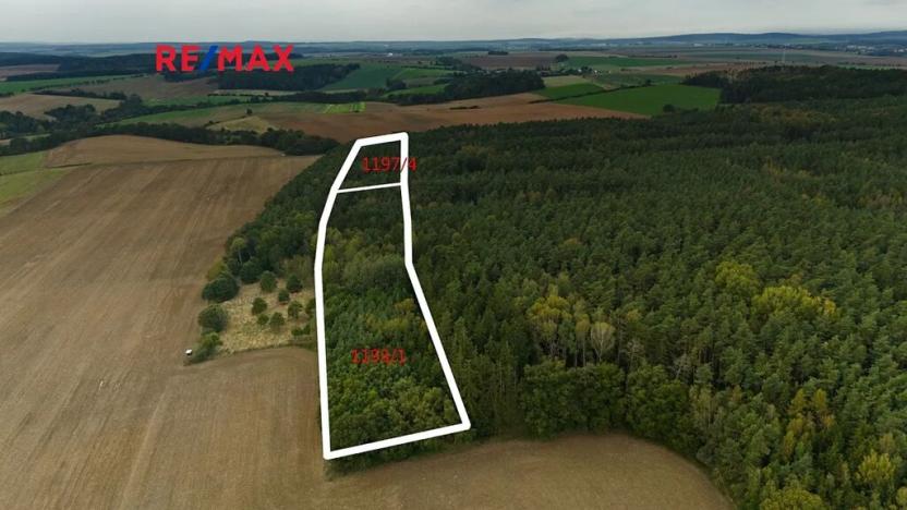 Prodej lesa, Všehrdy, 35057 m2