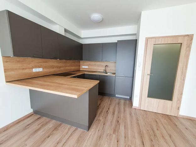 Pronájem bytu 1+kk, Brno, Plotní, 49 m2