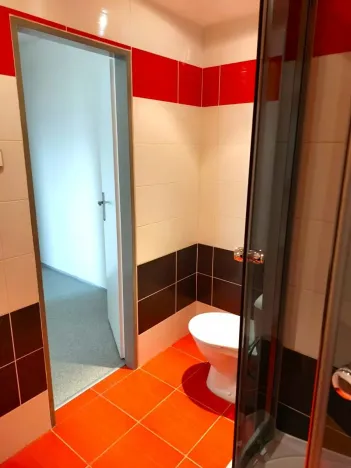 Pronájem bytu 2+kk, Bílina, Aléská, 48 m2