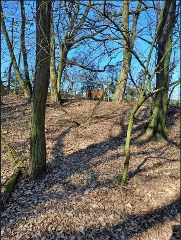 Prodej lesa, Mistřice, 1791 m2