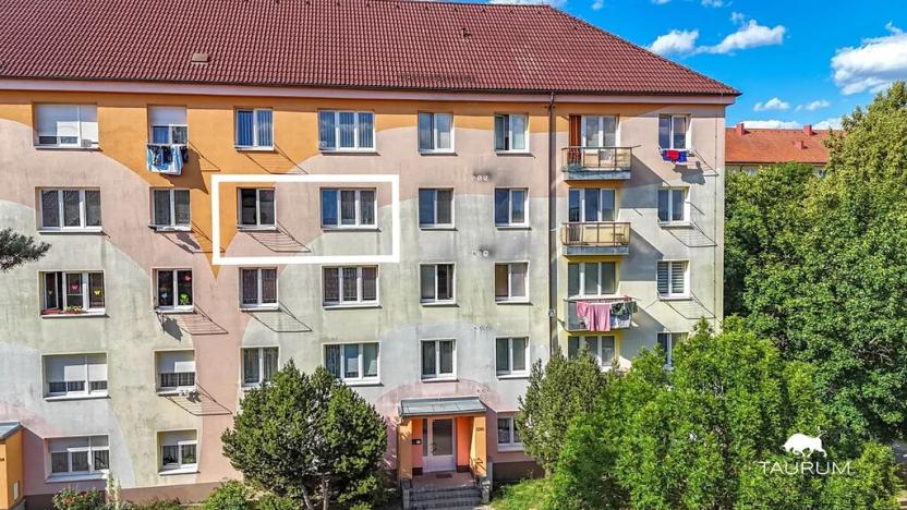Prodej bytu 3+1, Tachov, Školní, 63 m2