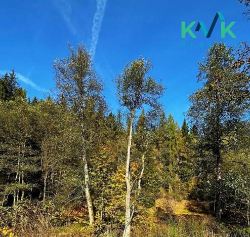 Prodej rodinného domu, Rotava, Nejdecká, 120 m2