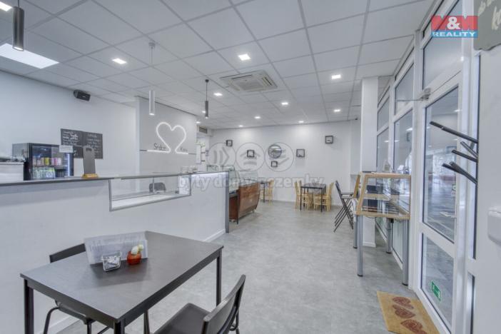 Pronájem obchodního prostoru, Třemošná, Plzeňská, 100 m2