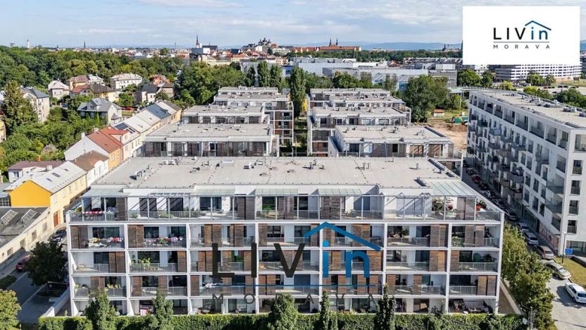 Pronájem bytu 1+kk, Olomouc, Rokycanova, 39 m2