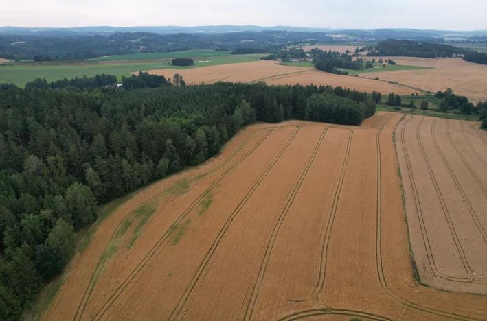 Prodej pole, Blažejov, 17187 m2
