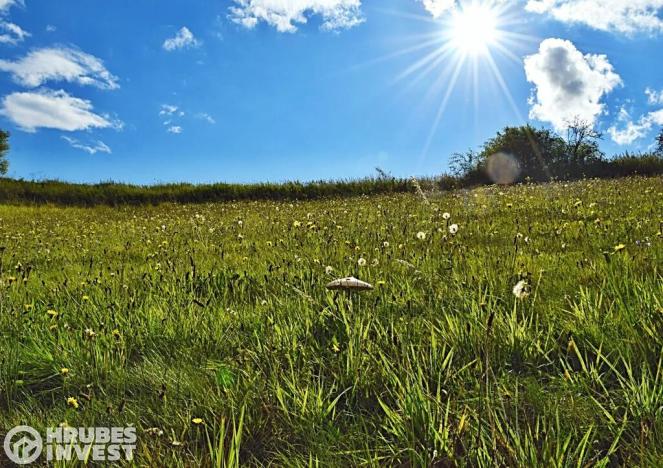 Prodej pozemku pro bydlení, Hnátnice, 2169 m2