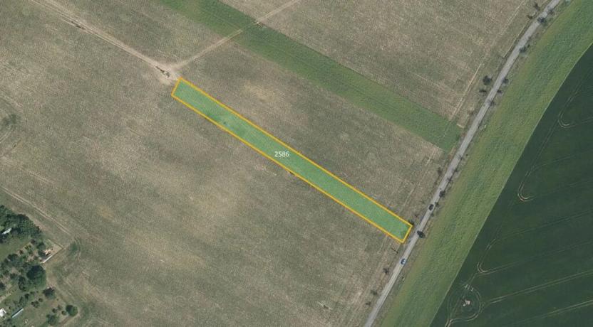 Prodej pole, Čechy pod Kosířem, 3384 m2