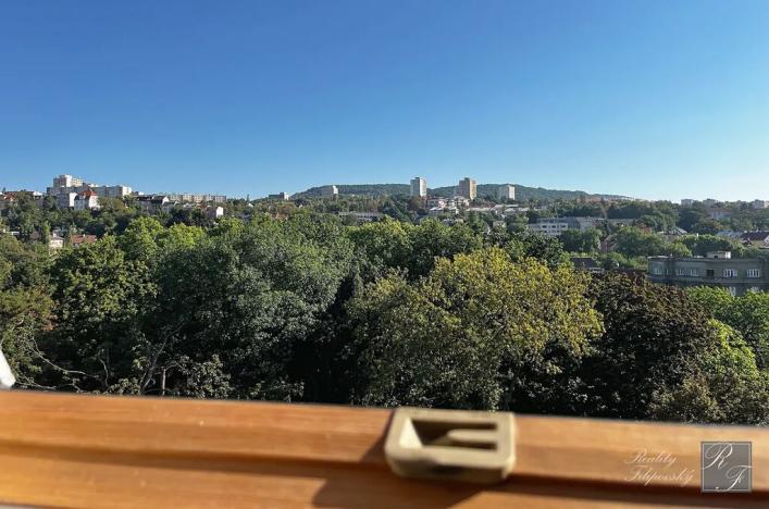 Prodej bytu 2+1, Ústí nad Labem, U Nemocnice, 90 m2