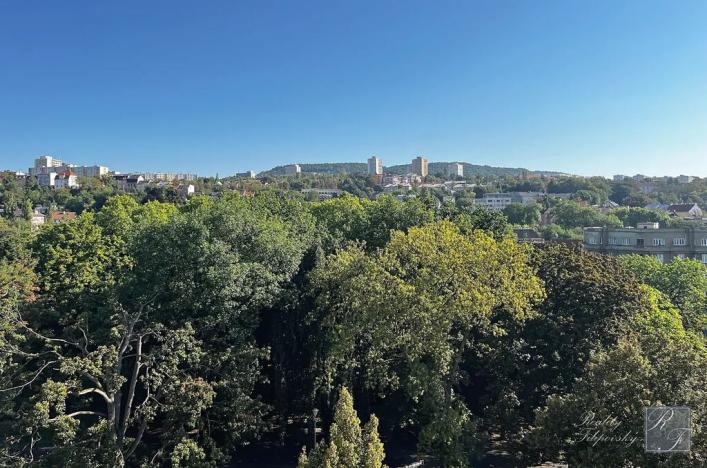 Prodej bytu 2+1, Ústí nad Labem, U Nemocnice, 90 m2