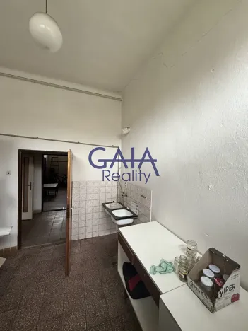 Prodej obchodního prostoru, Dešná, 268 m2