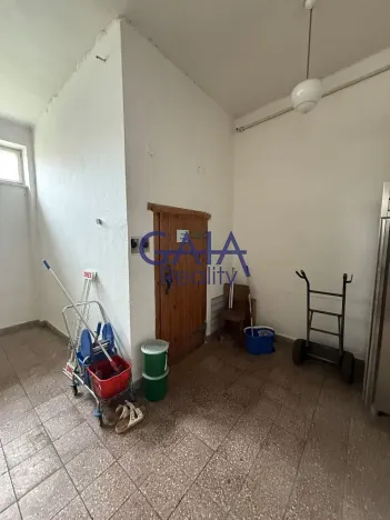 Prodej obchodního prostoru, Dešná, 268 m2