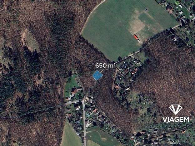 Prodej lesa, Vráž, 650 m2