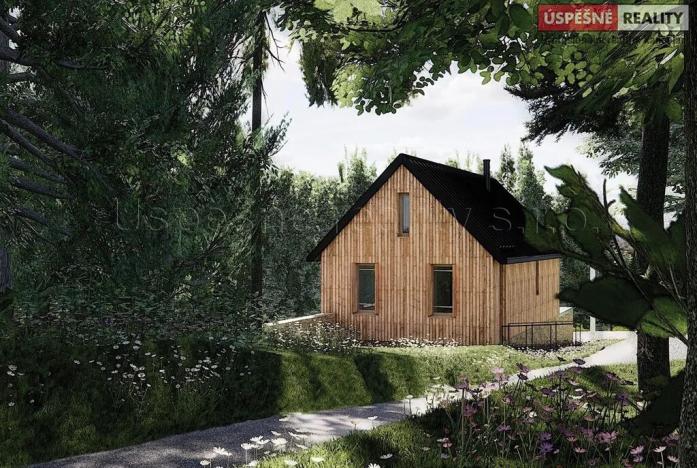 Prodej pozemku pro bydlení, Vítkovice, 3658 m2