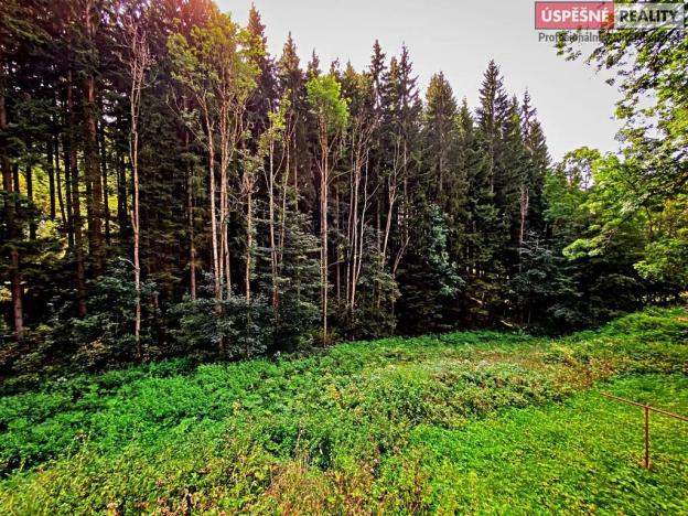 Prodej pozemku pro bydlení, Vítkovice, 3658 m2